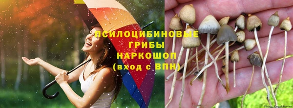 MESCALINE Новодвинск