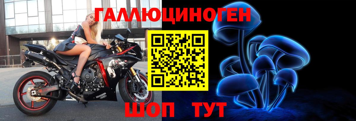 Галлюциногенные грибы прущие грибы Владивосток